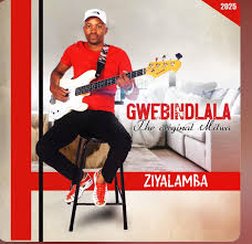 ALBUM: Gwebindlala – Ziyalamba