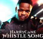 HarryCane – Whistle Amapiano Song