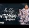 Lebo Sekgobela – Uthando Luka Baba