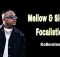 Mellow & Sleazy – Watoloka (Feat. Focalistic)