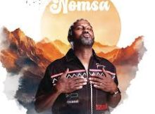 Ringo Madlingozi – Nomsa