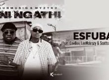 ShaunmusiQ & Myztro – Esfuba iSfuba Ft. Cowboii, LeeMckrazy & Scotts Maphuma