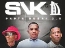 ShennyDaDeejay & DJ Stokie – SNK (Papta Dubai 2.5)