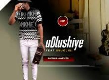 UDLUSHIYE – INKINGA AWENELI (ft. MJOLISI)