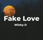 Winky D Fake Love (New Song 2025)