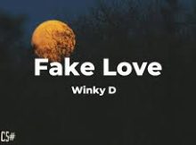 Winky D Fake Love (New Song 2025)