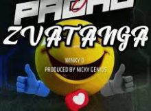 Winky D – Zvatanga (New Song 2025)