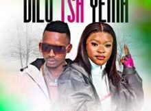 071 Nelly The Master Beat & Kharishma - Dilo Tsa Yema