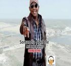 Chembedzanai - Somandla Ndebele & Denda Brothers