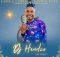 Dj Hendzo - Ni Endle Mess