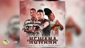 Dj Skizoh BW, DJ Kap and Queenthee Vocalist ft Nvcely Sings - Ngwana o mopila