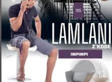 Lamlani Zikode – Luzangamandla