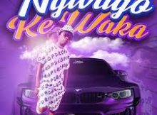 Leon Lee - Ngwago Ke Waka Feat Seven Step & Lebza Mfana
