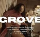 Makhadzi, Mr Bow, Shandesh & Janesh - Grove