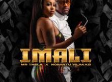 Mr Thela – iMali ft. Nobantu Vilakazi