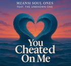 Mzansi Soulful Ones - You Cheated on Me