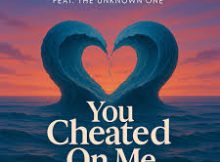 Mzansi Soulful Ones - You Cheated on Me