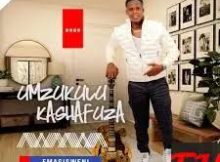Mzukulu KaShafuza - Sofa silahlane