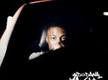 ALBUM: Nandipha808 – Indodana Yakhe