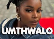 Nkosazana Daughter x Master KG x Makhadzi - UMTHWALO Feat Nomcebo