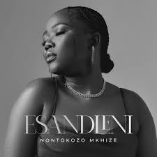 Nontokozo Mkhize - Esandleni Somusa