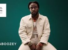 Shaboozey - Fire And Gasoline