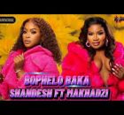 Shandesh Ft Makhadzi - Bophelo baka