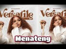 Shandesh - Menateng Ft Abi wa Mampela, Hitboss, Shebeshxt