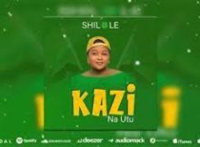 Shilole – Kazi Na Utu