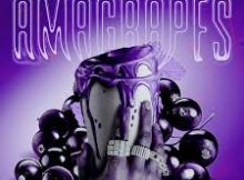 SjavasDaDeejay – Amagrapes ft. LeeMcKrazy & XoliSoulMF