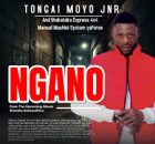 Tongai Moyo Jnr - Ngano