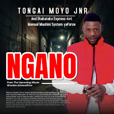 Tongai Moyo Jnr - Ngano