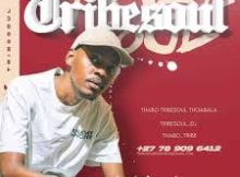 TribeSoul – Spirit Fest Amapiano Mix