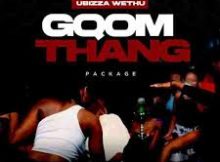 UBizza Wethu – iSqwathi