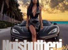 Deejay Zebra SA – Ngishutheni (Gqom Remix)