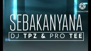 Dj TPZ & Pro tee - Sebakanyana