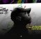 Dladla Mshunqisi ft Beast & SpiritBanger - Thutha (TMEXY 3step Bootleg)