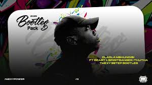 Dladla Mshunqisi ft Beast & SpiritBanger - Thutha (TMEXY 3step Bootleg)
