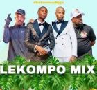 Dollyditebogo – Lekompo Mix 2