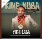King Nuba – Izindlu Zodaka ft. 2Short