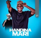 Libho – Handina mari