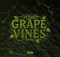 Lucasraps & Ca$h Khali – Grapevines