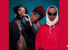 Mellow & Sleazy, DJ Maphorisa, Xduppy, Vigro Deep - Zuma