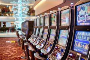 Inspection of Easy Bet Casino in South AfricaÂ