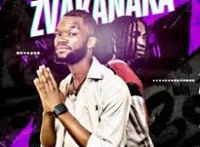 Shayne - Zvakanaka (feat. Calvin Mangena)