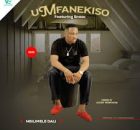 Umfanekiso – Ngilimele dali ft. Snazo