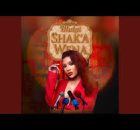 Blulyt – Shak’a Wena