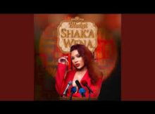 Blulyt – Shak’a Wena