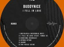 Buddynice - Kunzima Ukungazi