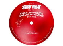 China Charmeleon & Brandon Dhludhlu - Birds Sing (Extended)